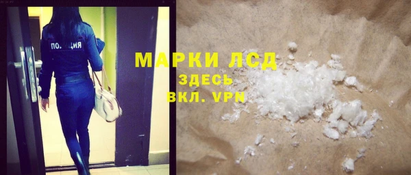 прущие грибы Нея
