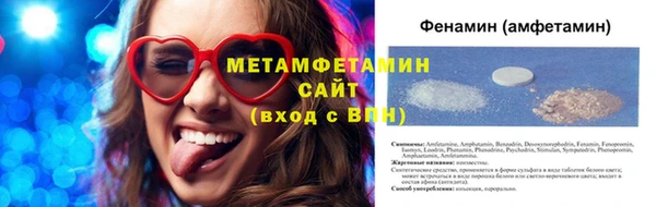 прущие грибы Нея