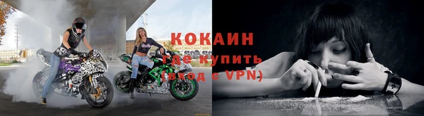 молекула духа Нефтекумск