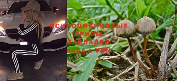 тгк Новокубанск