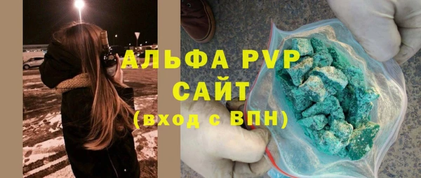 твердый Новодвинск