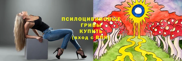 прущие грибы Нея