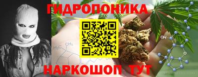 винт Гай