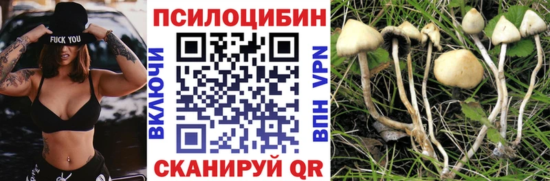 Галлюциногенные грибы мухоморы  где продают   Зеленогорск 