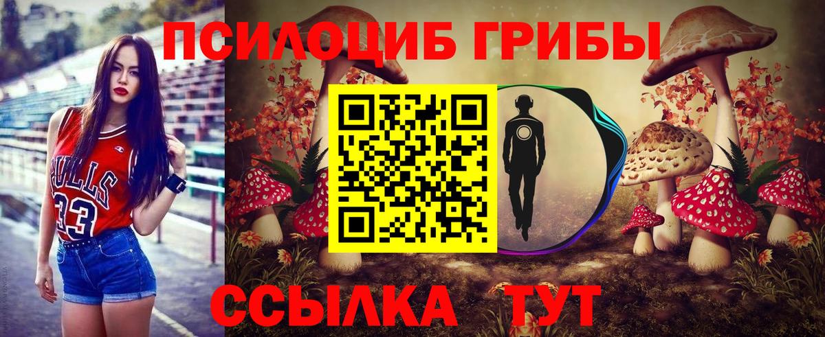 Галлюциногенные грибы Magic Shrooms Зеленогорск