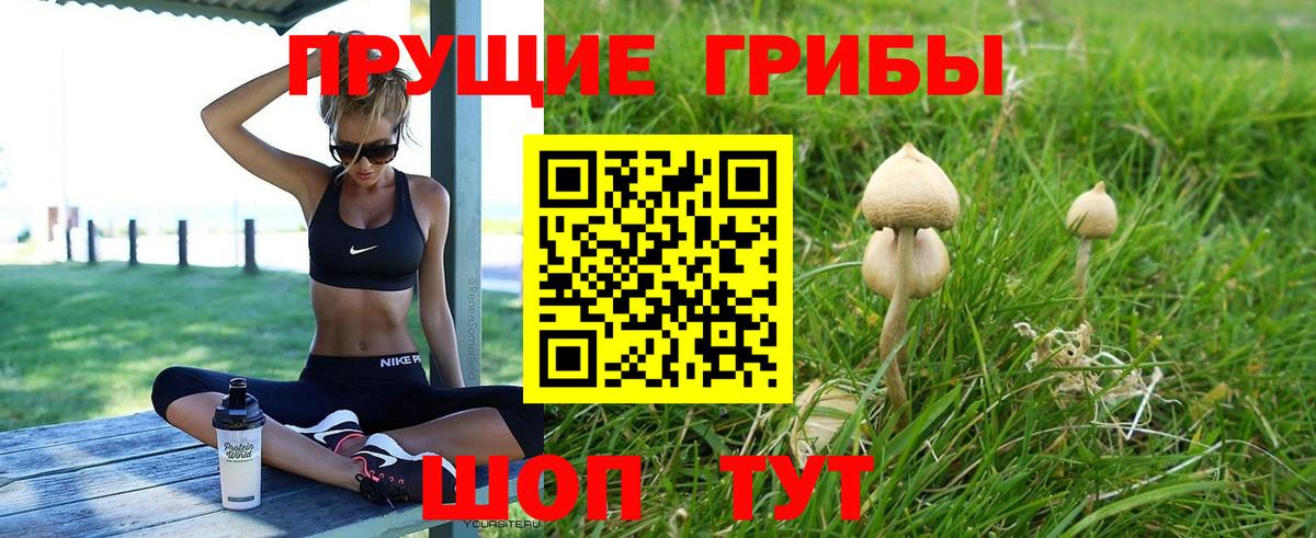 Codein  ГАШИШ  Кокаин  MDMA  Alpha-PVP СК   Вход с VPN  Мефедрон кристаллы  Зеленогорск  Каннабис 